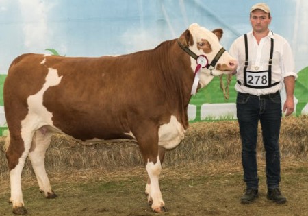 Gruppensiegerin Landesschau 2015